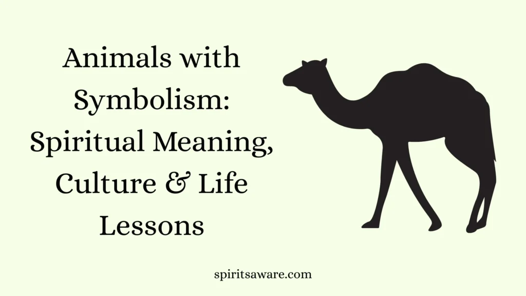 Animals with Symbolism