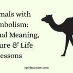Animals with Symbolism