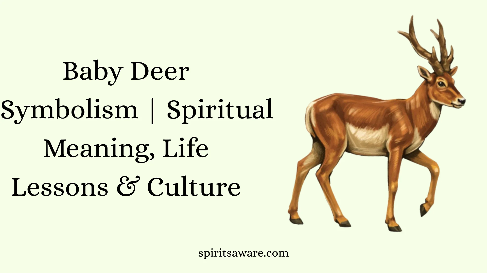 Baby Deer Symbolism