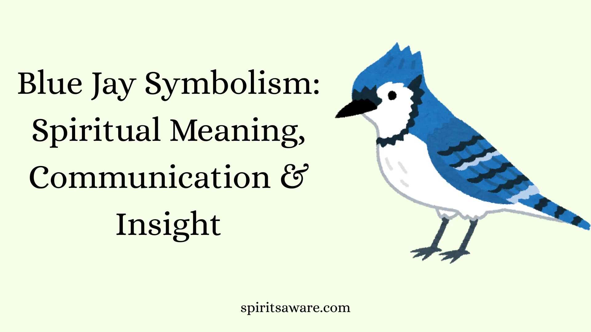 Blue Jay Symbolism