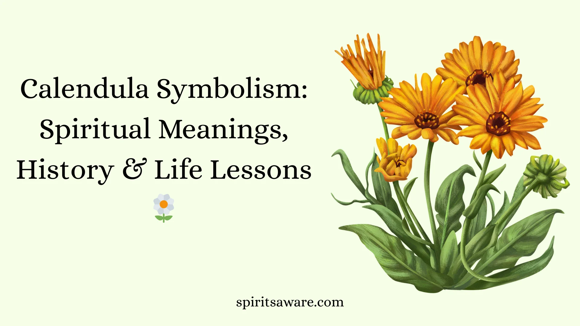 Calendula Symbolism