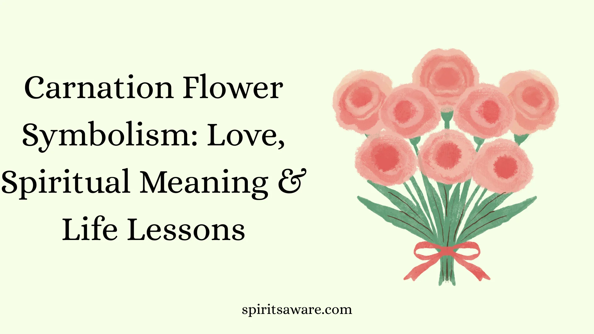 Carnation Flower Symbolism