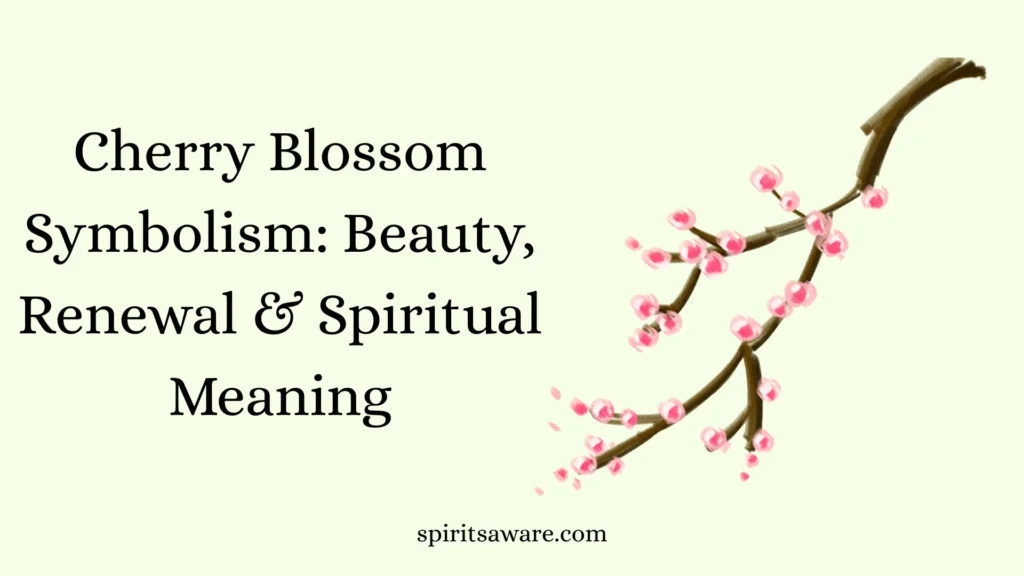 Cherry Blossom Symbolism