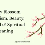 Cherry Blossom Symbolism