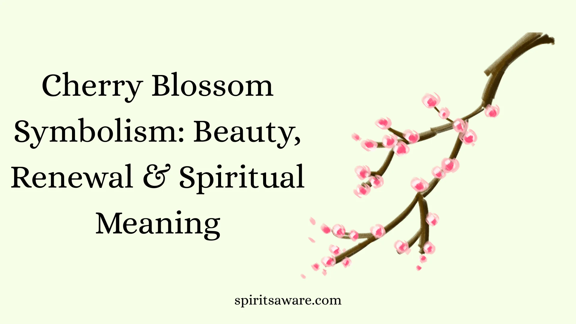 Cherry Blossom Symbolism