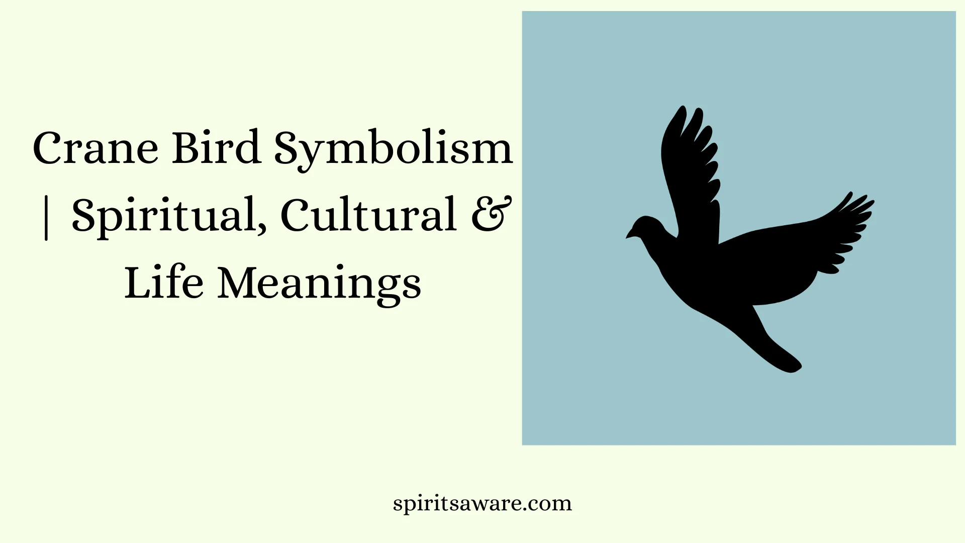Crane Bird Symbolism