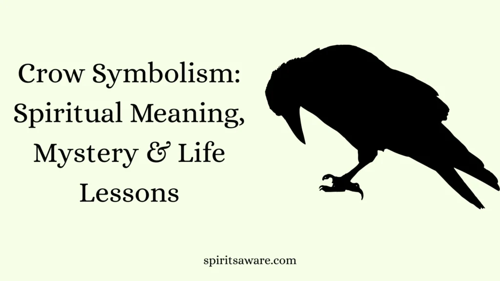 Crow Symbolism