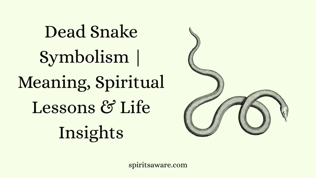 Dead Snake Symbolism