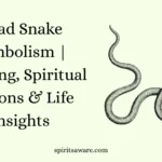 Dead Snake Symbolism