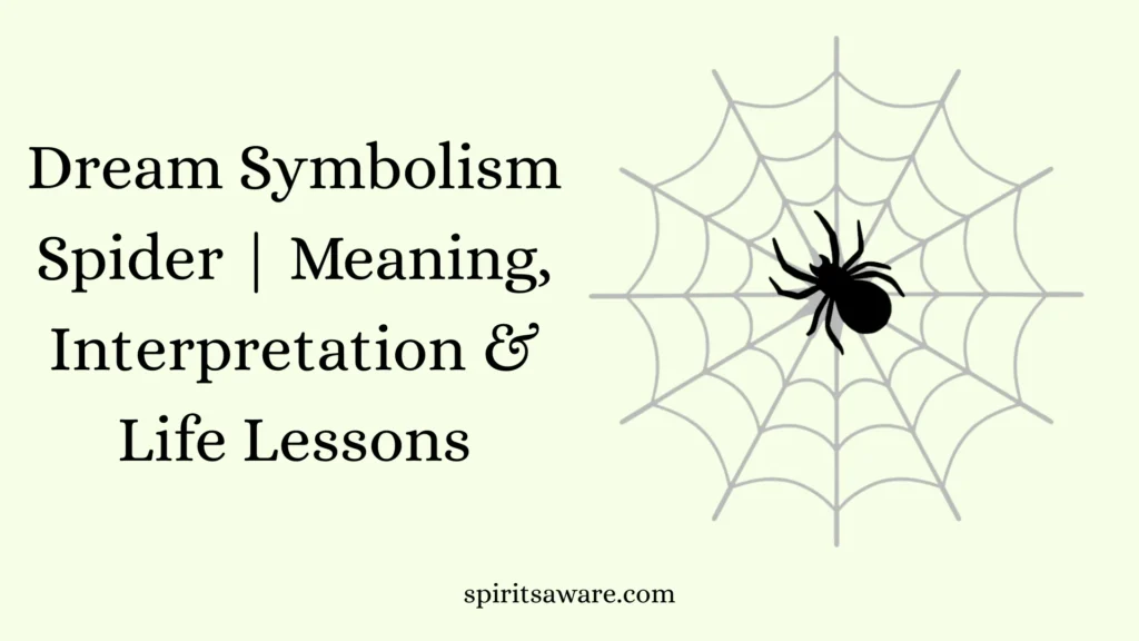 Dream Symbolism Spider