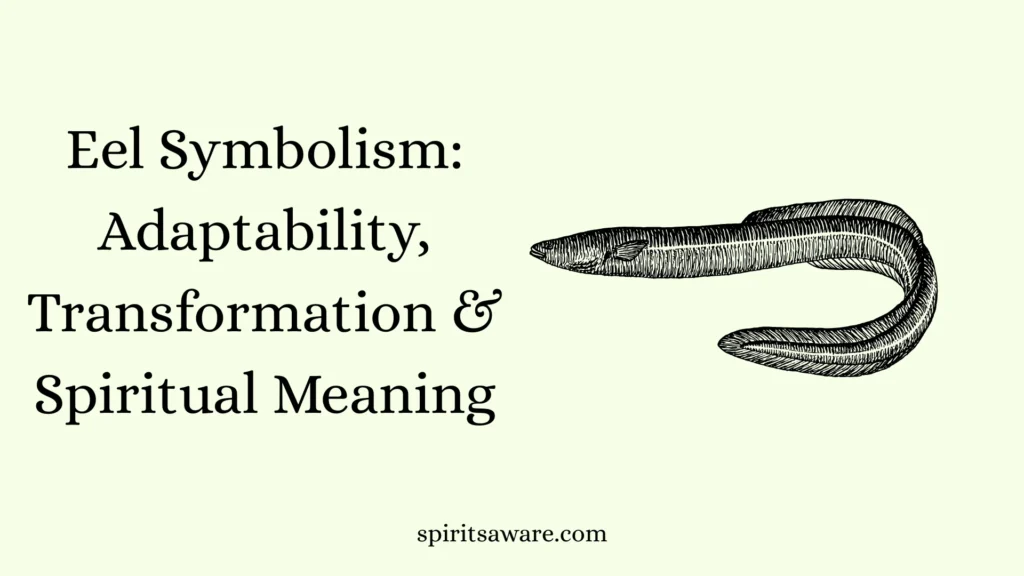 Eel Symbolism
