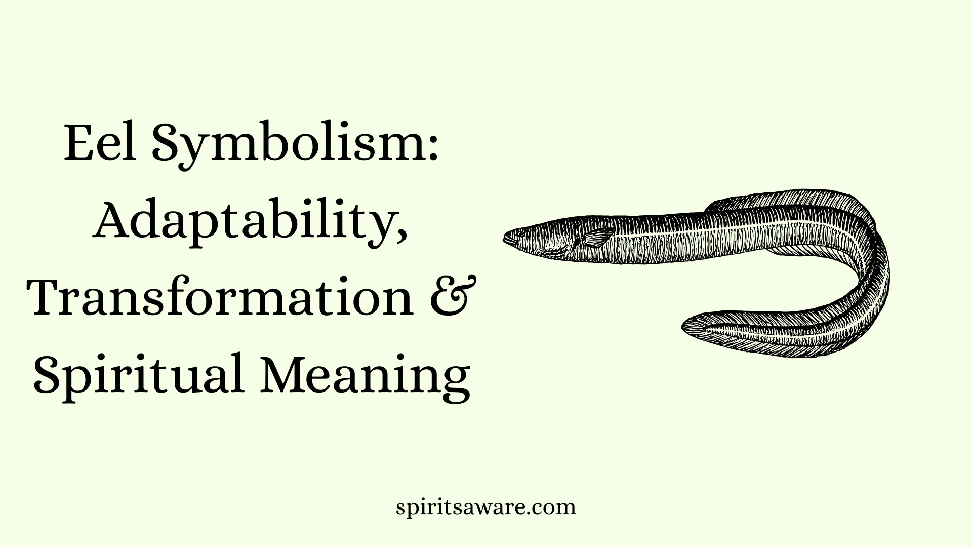 Eel Symbolism