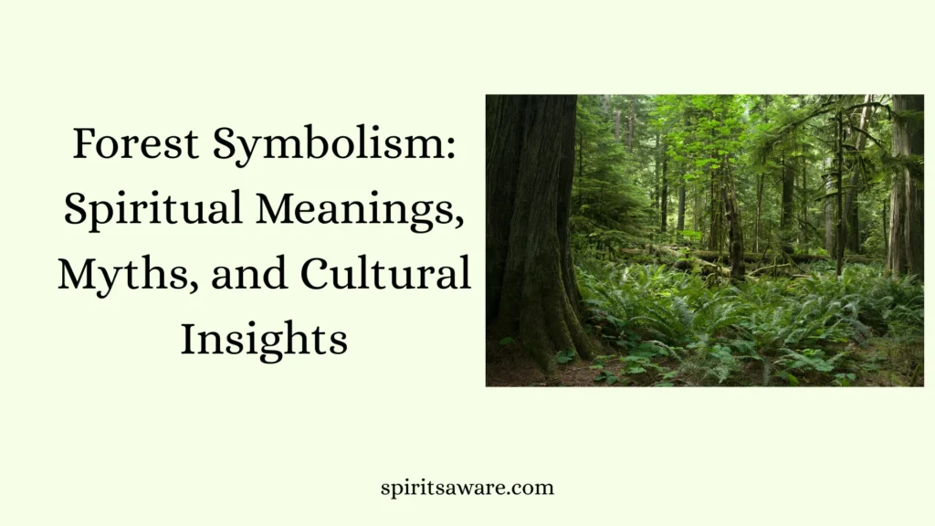 Forest Symbolism