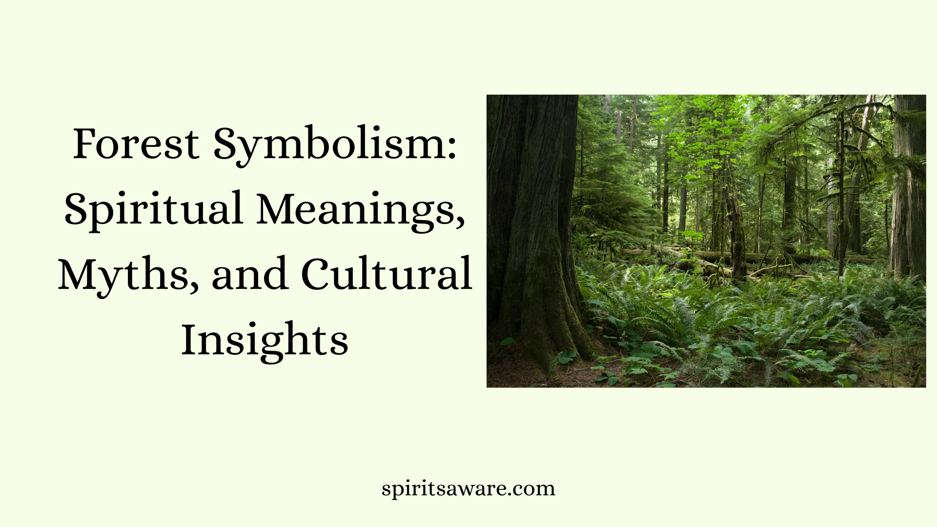 Forest Symbolism