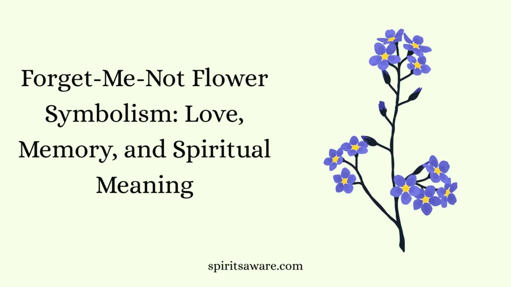 Forget-Me-Not Flower Symbolism