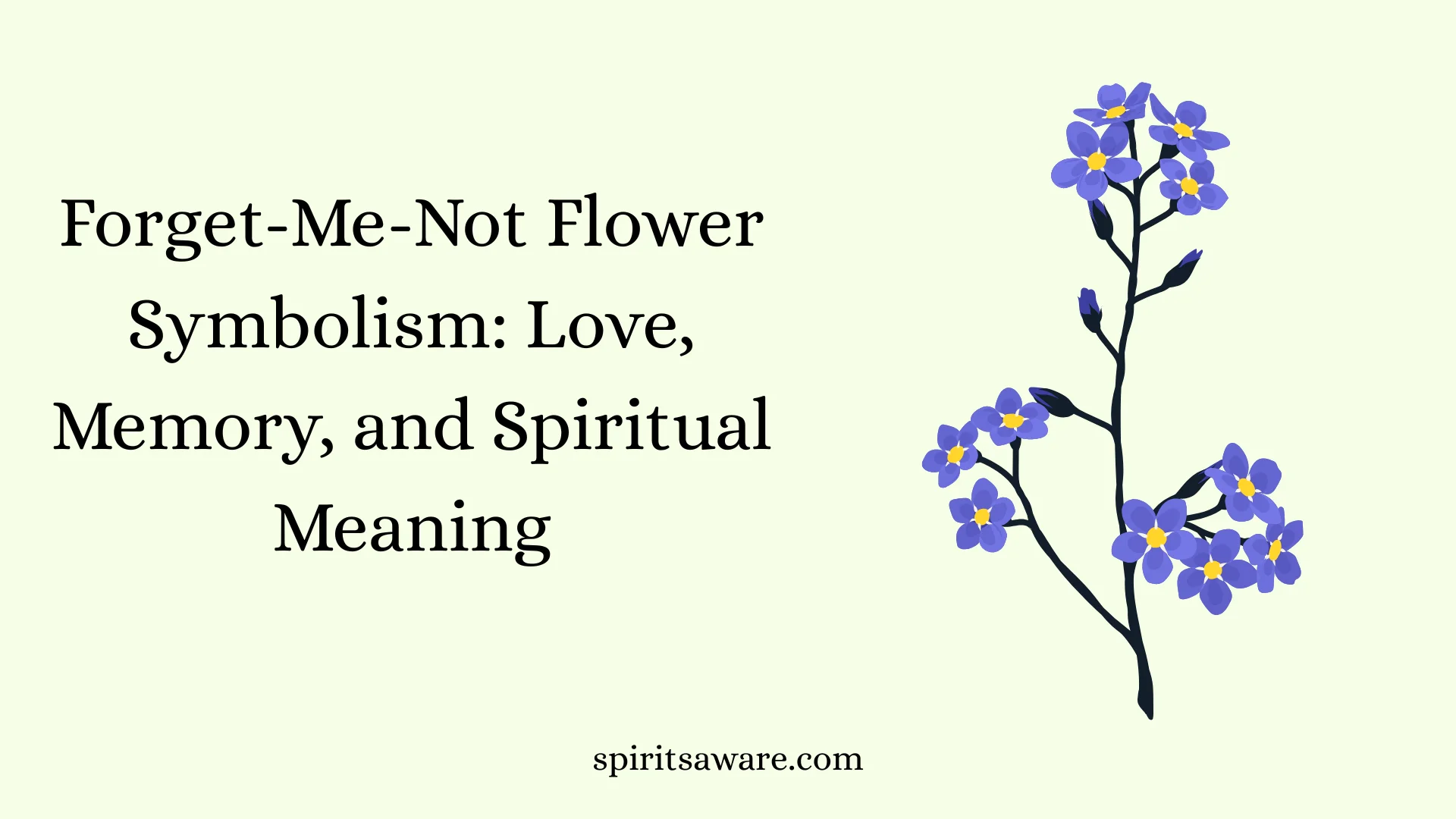 Forget-Me-Not Flower Symbolism