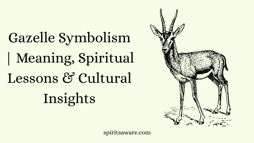 Gazelle Symbolism