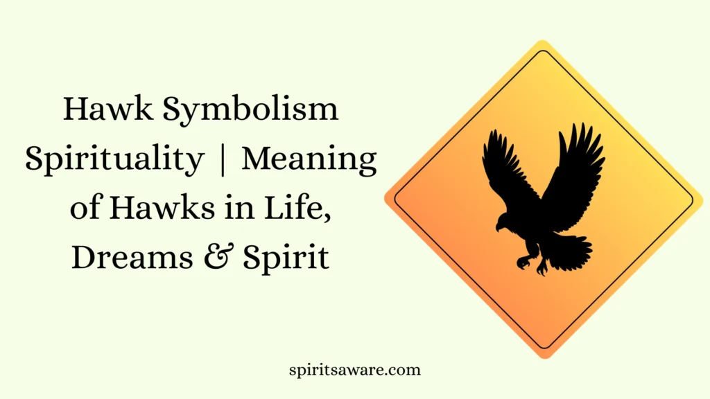 Hawk Symbolism Spirituality
