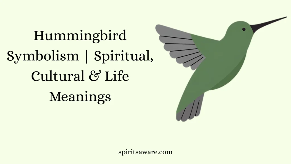 Hummingbird Symbolism