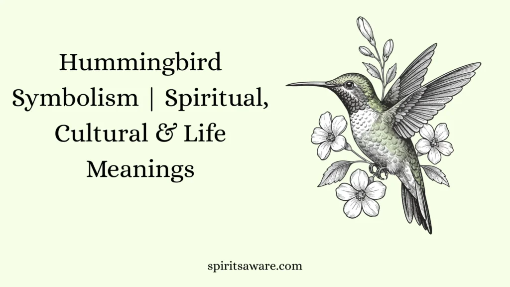 Hummingbird Symbolism