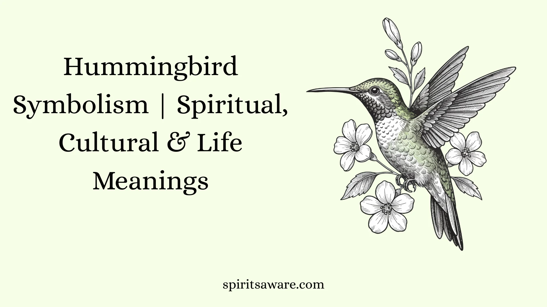 Hummingbird Symbolism