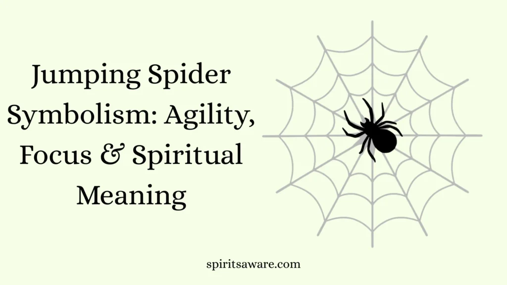 Jumping Spider Symbolism