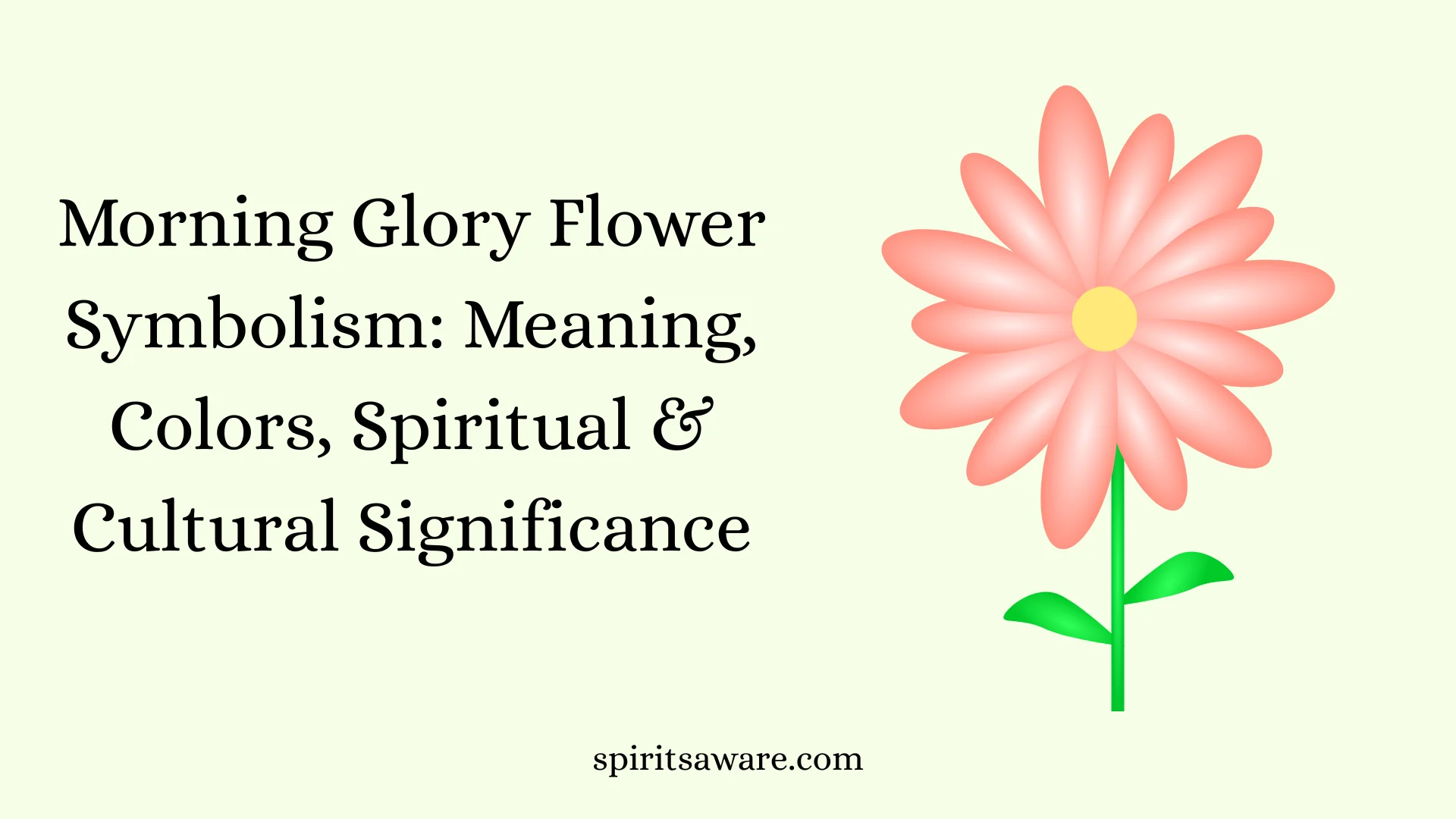 Morning Glory Flower Symbolism