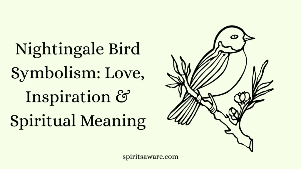 Nightingale Bird Symbolism