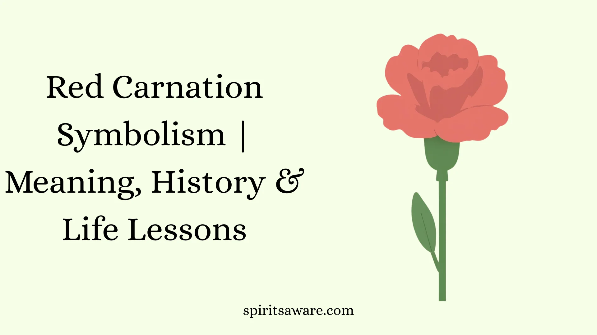 Red Carnation Symbolism