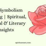 Rose Symbolism Meaning