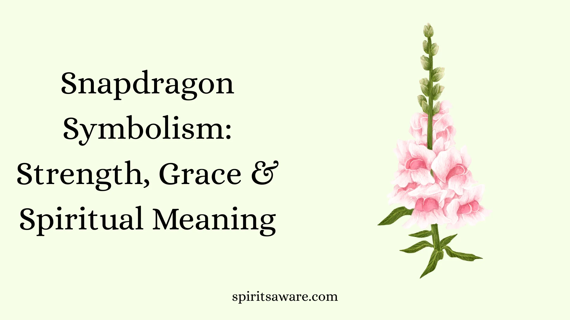 Snapdragon Symbolism