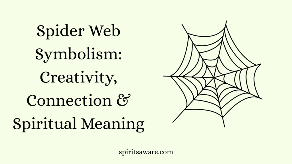 Spider Web Symbolism