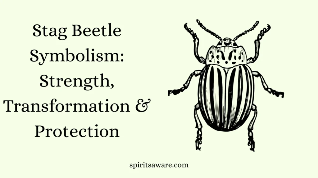 Stag Beetle Symbolism