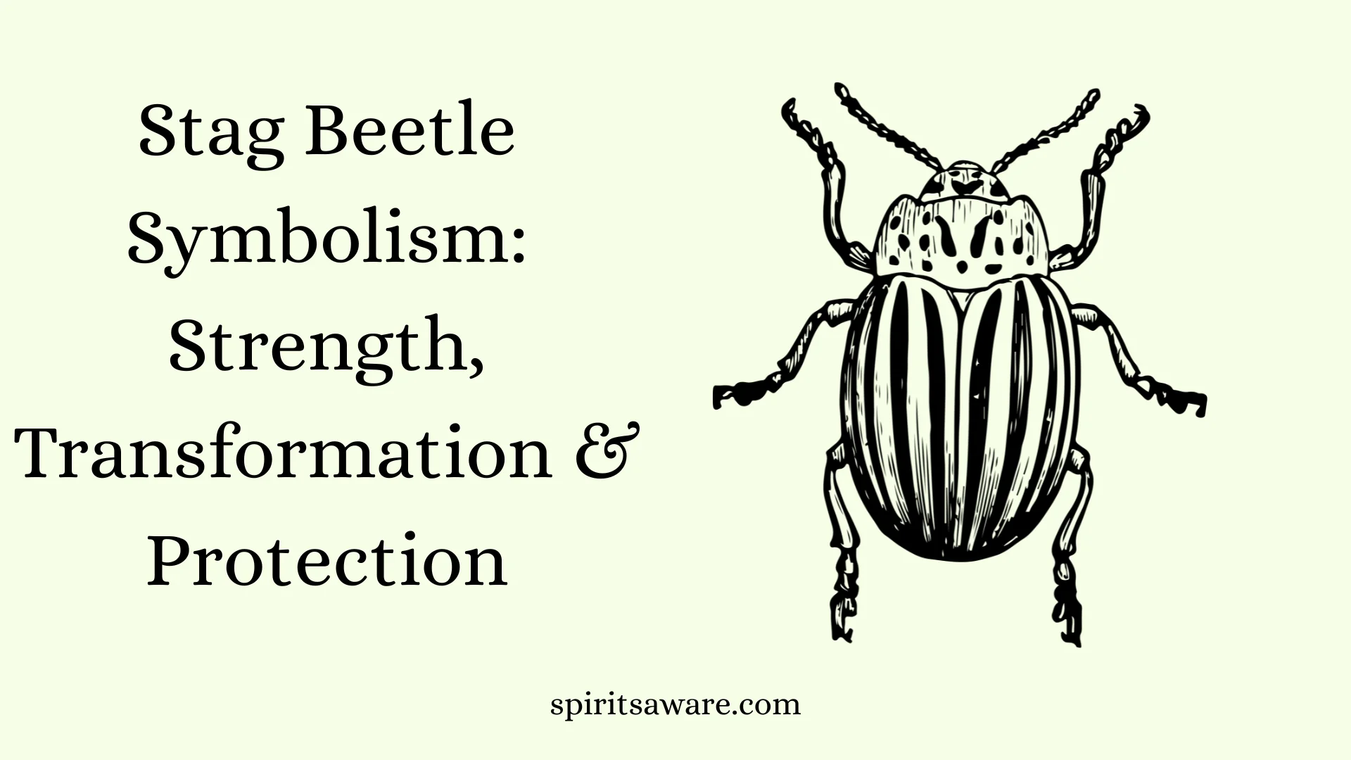 Stag Beetle Symbolism