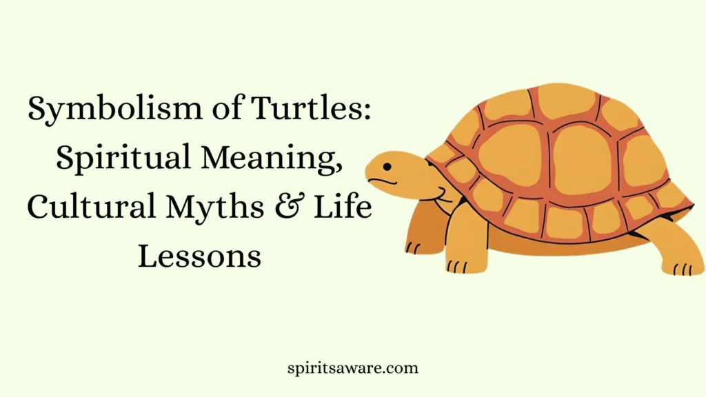 Symbolism of Turtles