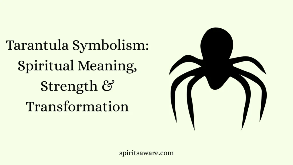 Tarantula Symbolism