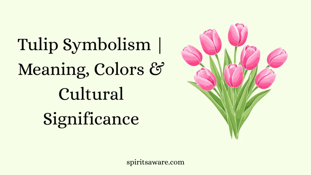 Tulip Symbolism