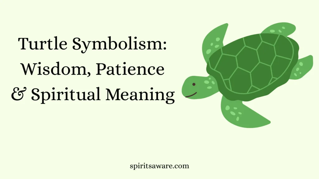 Turtle Symbolism