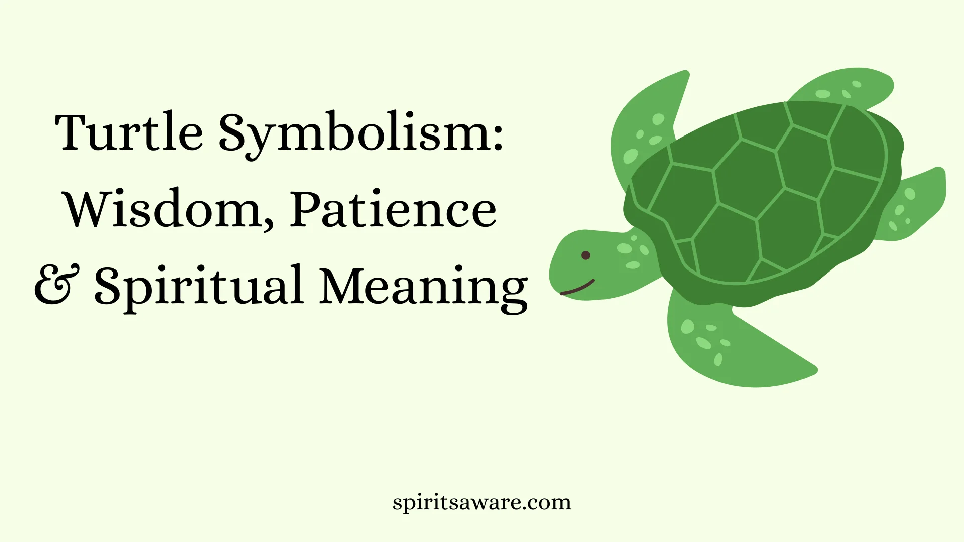 Turtle Symbolism