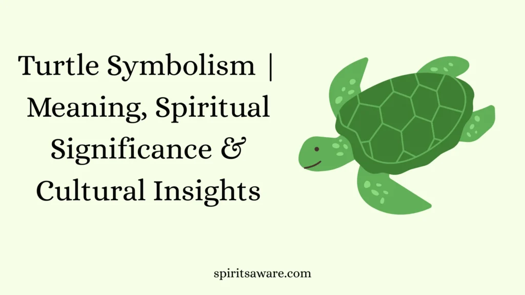 Turtle Symbolism