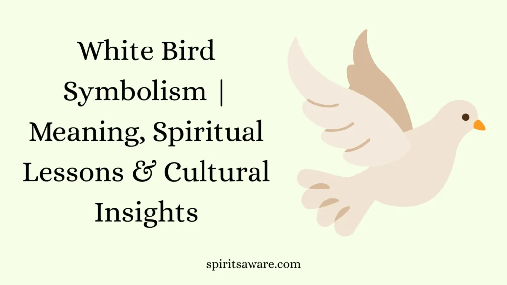 White Bird Symbolism