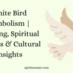 White Bird Symbolism