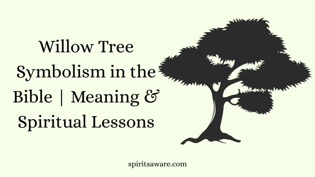 Willow Tree Symbolism in the Bible