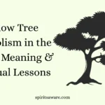 Willow Tree Symbolism in the Bible