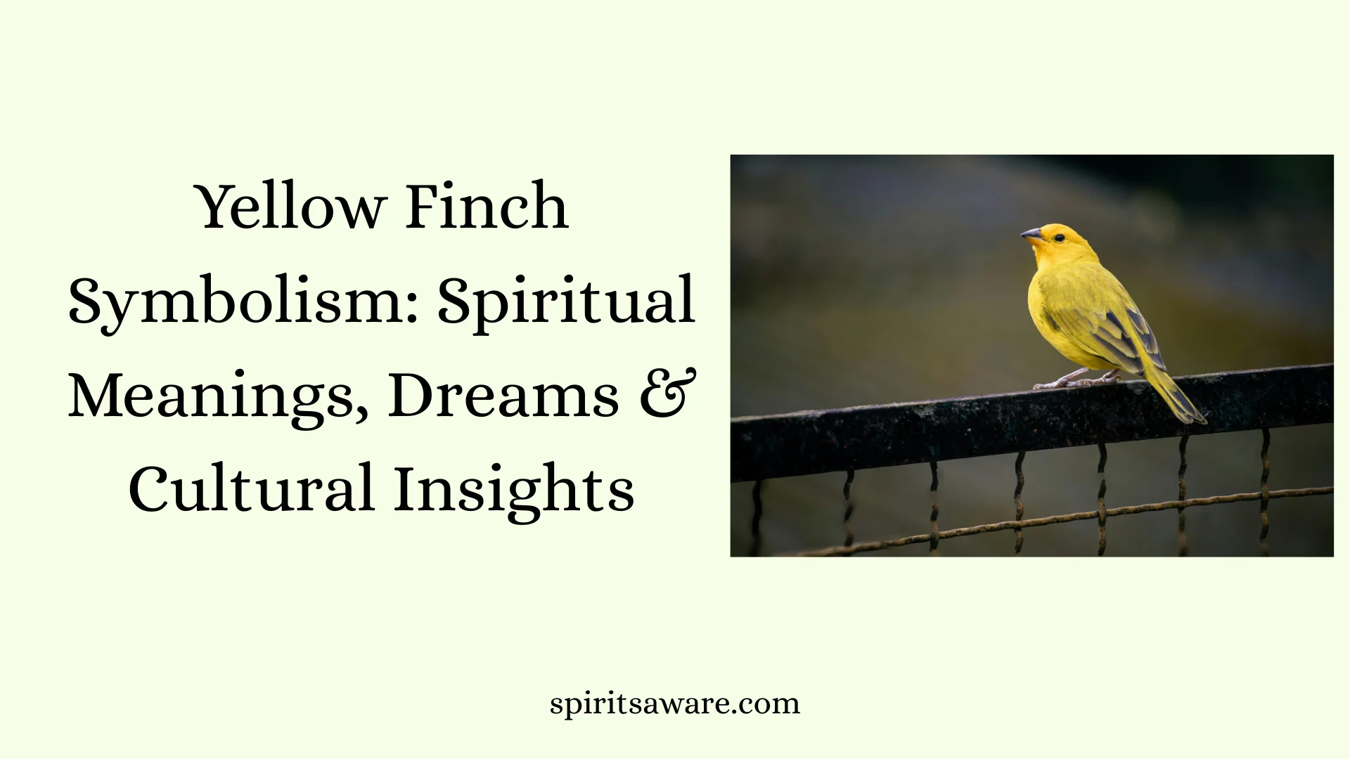 Yellow Finch Symbolism