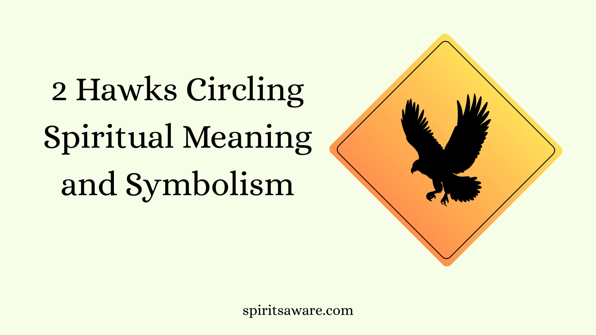 2 Hawks Circling Spiritual Meaning and Symbolism