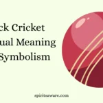 Black Cricket Spiritual Meaning and Symbolism
