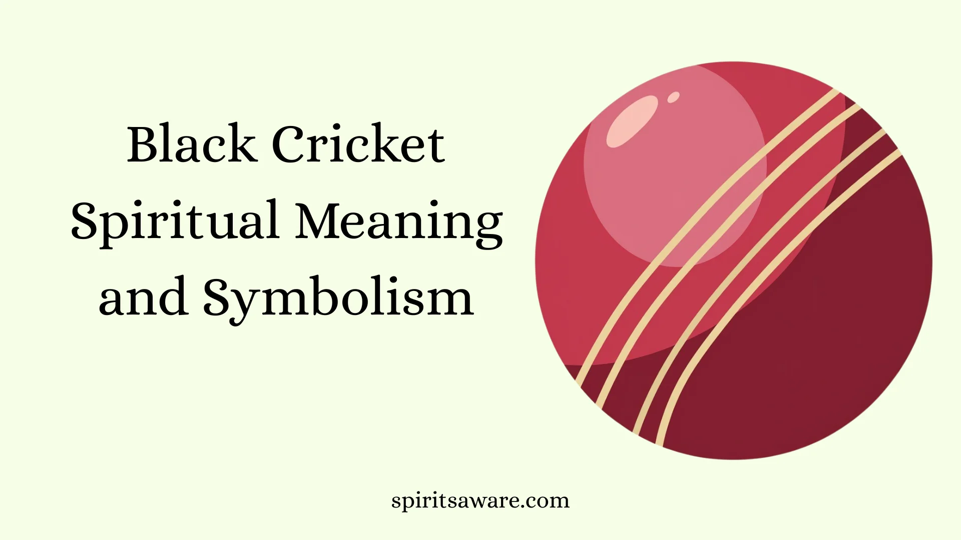 Black Cricket Spiritual Meaning and Symbolism
