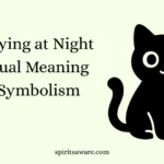 Cat Crying at Night Spiritual Meaning and Symbolism