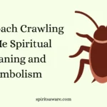 Cockroach Crawling on Me Spiritual Meaning and Symbolism